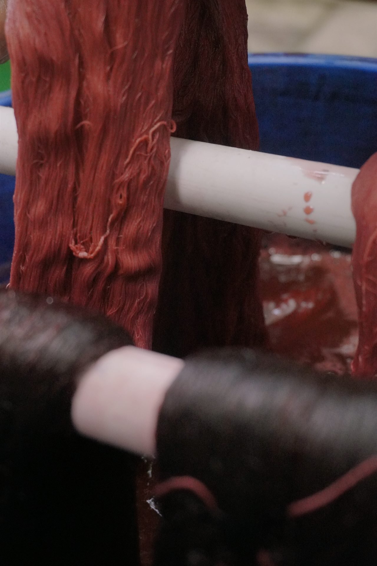 Dokumentasi Pencelupan